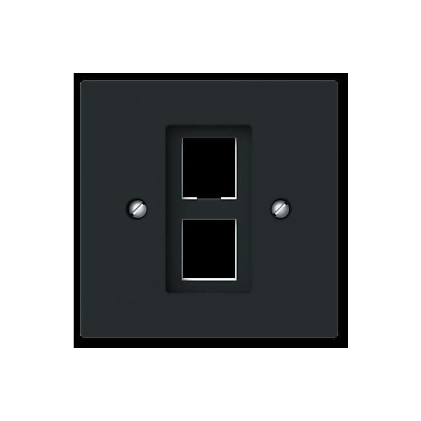 Busch-Jaeger Zentralscheibe m. Tragring Modular-Jack 2561-02-45M